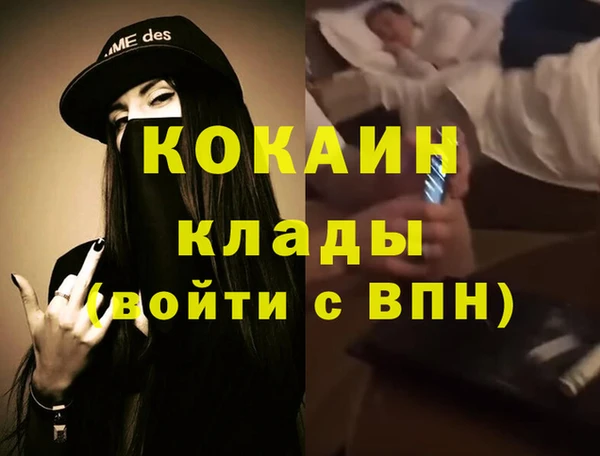 кокс Алексин