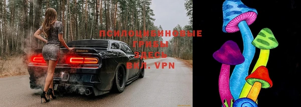 кокс Алексин